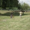 jurta-2012-0222