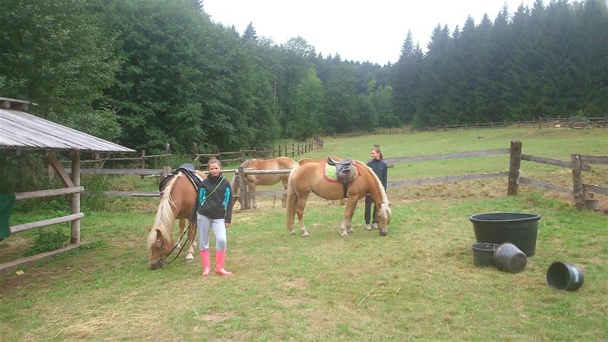 DSC_0111.JPG